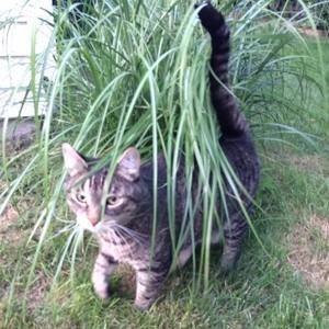 Meet your Posher, Heidi